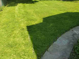 Bernadette S.'s Lawn Maintenance service result