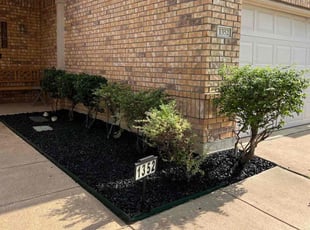 Mulching by Jesse Salas for Jade T. in Fort Worth, TX
