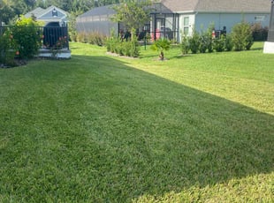 Penny C.'s Lawn Service service result