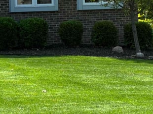 Bush Trimming by robert rufin for Marilyn L. in Strongsville, OH