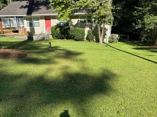 Brad W.'s Lawn Care service result