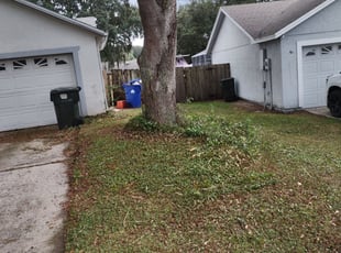 Bush Trimming by Willie Carmichael for Germain J. in Ocoee, FL