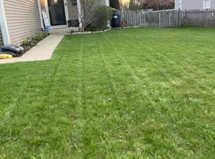 Brad P.'s Lawn Care service result