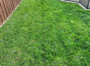 Nicole Z.'s Lawn Service service result