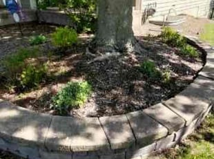 Bush Trimming by Jorge Yanez for Rebecca L. in Geneva, IL