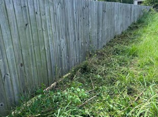Bush Trimming by Brandon Johnson for Neil S. in Denham Springs, LA