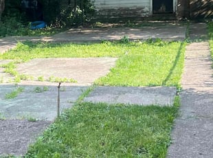 Leaf Removal by Isaiah Swift for Laquetia A. in Chicago, IL