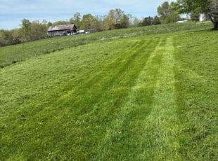 Matthew T.'s Lawn Mowing service result