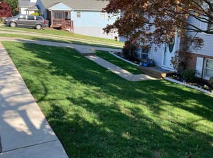 Latia W.'s Lawn Mowing service result