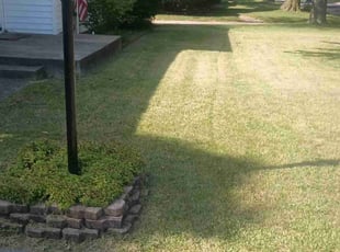 Valerie B.'s Lawn Service service result