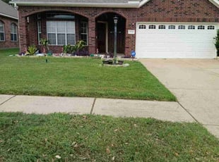 James S.'s Lawn Mowing Service service result