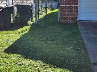 Bush Trimming by Demario Brookins for Jamal A. in Blacklick, OH