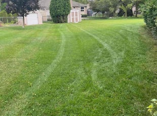 Mike M.'s Lawn Mowing service result