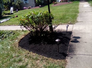 Bush Trimming by David Moyer for Jonathan B. in Allentown, PA