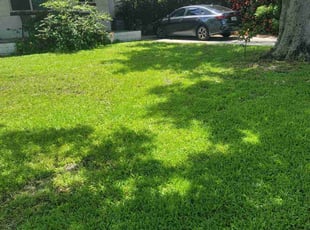 Jack T.'s Lawn Mowing service result