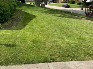 Carl P.'s Lawn Care service result