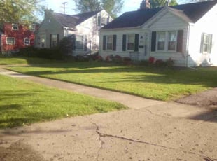 Diana P.'s Lawn Mowing Service service result
