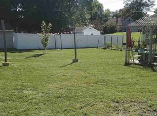 Timothy M.'s Yard Cutting service result