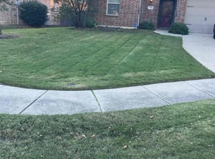 Steven G.'s Lawn Mowing service result
