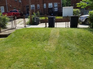 Kyung P.'s Yard Cutting service result