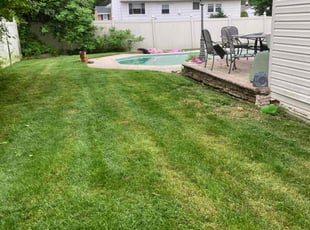 Susan H.'s Lawn Service service result