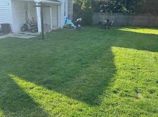 Shuran W.'s Lawn Mowing service result