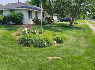 Weeding by Natatia Frame for Peggy B. in Apple Valley, MN