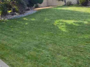 Mia C.'s Yard Cutting service result