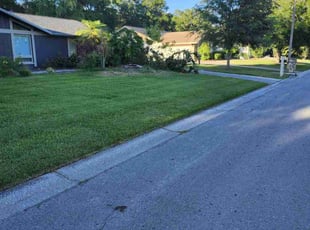 Vince F.'s Lawn Mowing service result