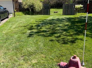 Terry M.'s Lawn Service service result