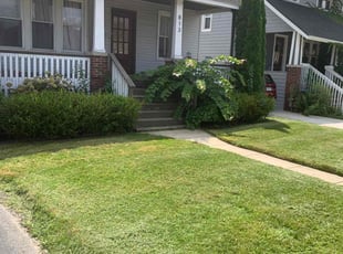 Rebeca R.'s Lawn Mowing Service service result