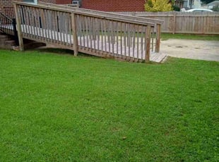Trish W.'s Lawn Mowing Service service result