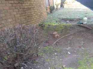 Weeding by Gerald Oyerindr for April . in Decatur, GA