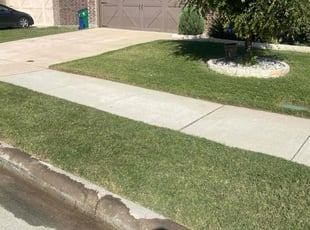Latisha B.'s Lawn Care service result