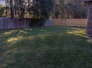 Frank c.'s Grass Cutting service result