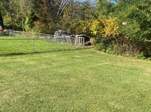 Kathryn B.'s Lawn Mowing service result