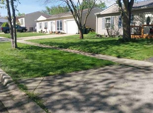 Susan C.'s Lawn Mowing service result