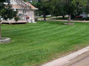 John-Allen M.'s Lawn Mowing Service service result