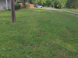 Fabienne L.'s Lawn Mowing Service service result