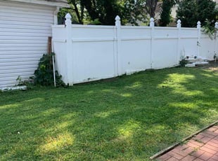 Lorraine D.'s Lawn Mowing service result
