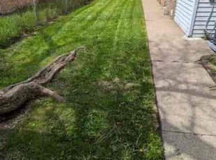 Robert S.'s Lawn Service service result