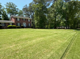 Ron S.'s Lawn Mowing service result