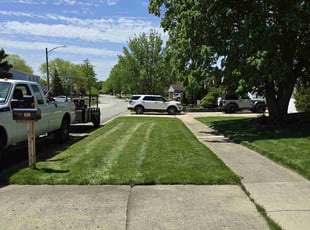 Robin H.'s Lawn Care service result