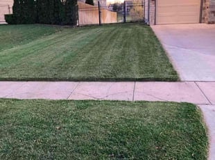 Joan S.'s Yard Cutting service result