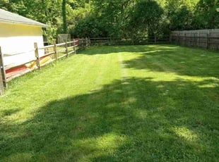 Cleanups by Anthony Downey for Matthew M. in Cincinnati, OH