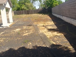 Weeding by Thomas Mack for Lain L. in Roseville, CA