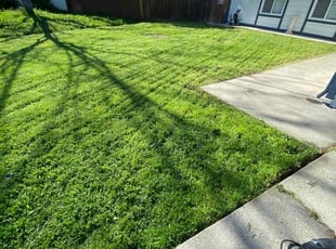 Pamela B.'s Lawn Maintenance service result