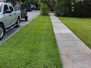 Amie B.'s Lawn Mowing Service service result