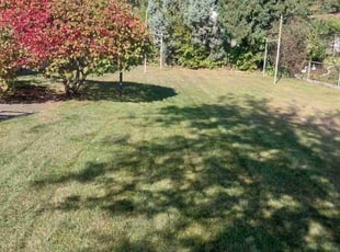 Katy S.'s Lawn Mowing Service service result