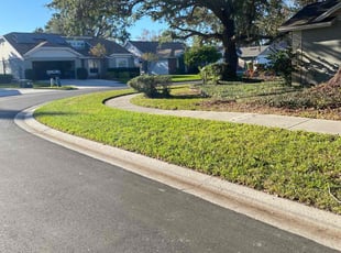 Stephen F.'s Yard Cutting service result